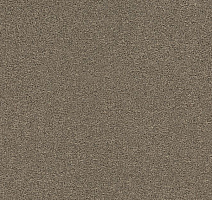 Ковровая плитка Interface Heuga 725 672506 Copra фото 1 | FLOORDEALER